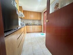 Central View (D19), Condominium #486768921